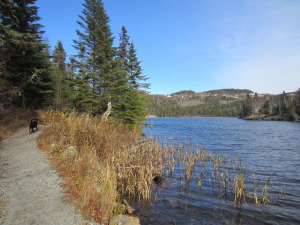 Path along the lake