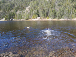 Ella and Shannon swimming in the very cold water - crazy