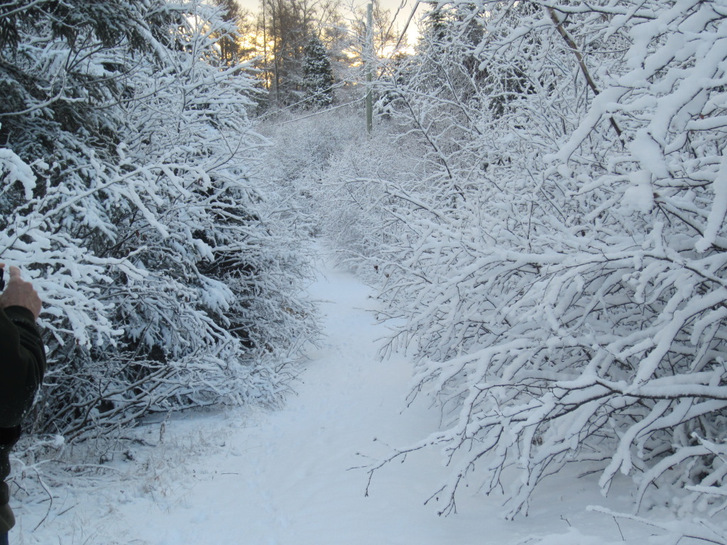 Beginning of hydro road just at O'Neill's