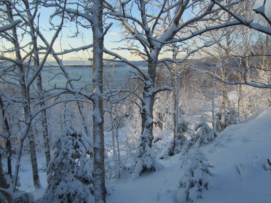 My favourite point right on the upper Turcot and Stairs properties