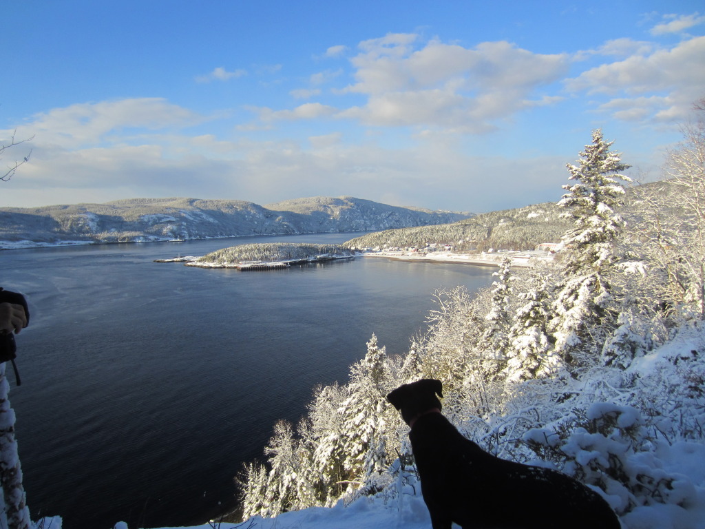 Taken at Tom,s fence