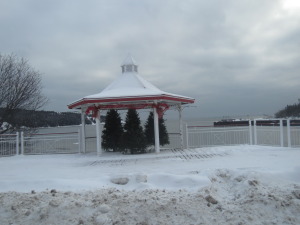 These little trees are all lit up at night