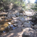 large stream runs down through the gardens from the mountains above. Although I did not get good pics of it. this became the water source for the Mission below with an elaborate system of aqueducts and small damns.