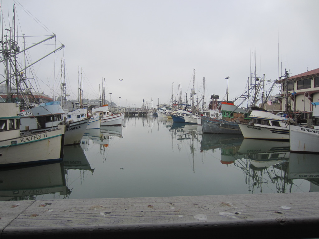 Working fishing boats
