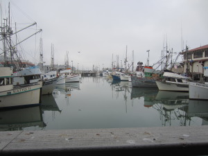 Working fishing boats