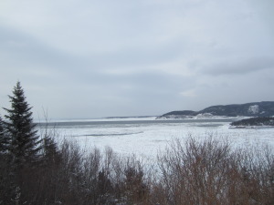 Looking across at reef from durnford's house