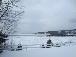 Pack ice from Sprucecliff