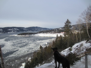 the bay ice has receded back well beyond the wharf