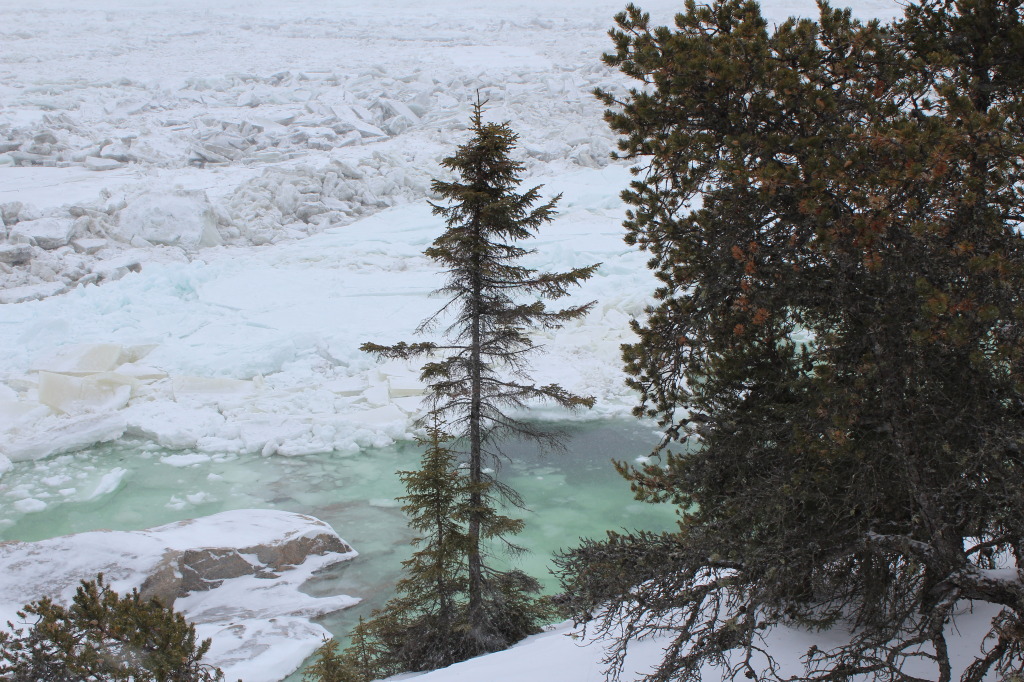 from halfway along the boardwalk to the Pointe
