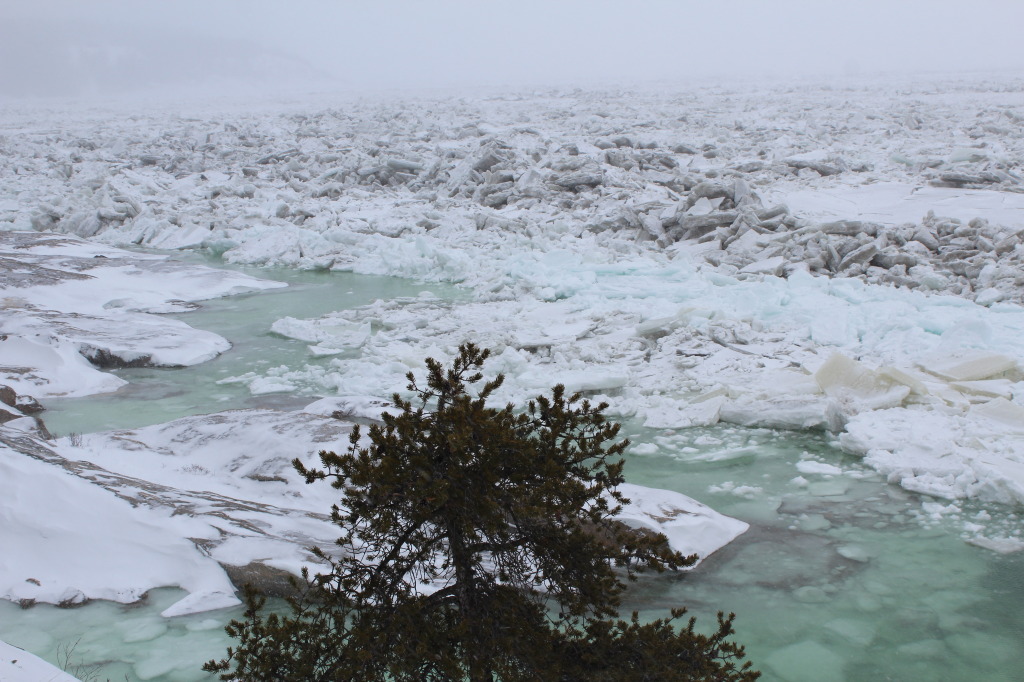 from steps going down to Pointe