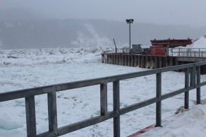 above marina looking at wharf