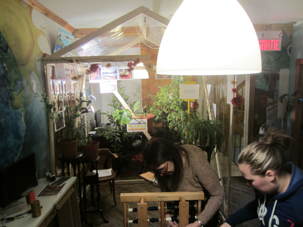 A demonstration of a simple grrenhouse of the type that will be used to advance plants ready for the gardens at the farm