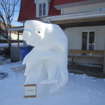 Beluga mother in birthing process