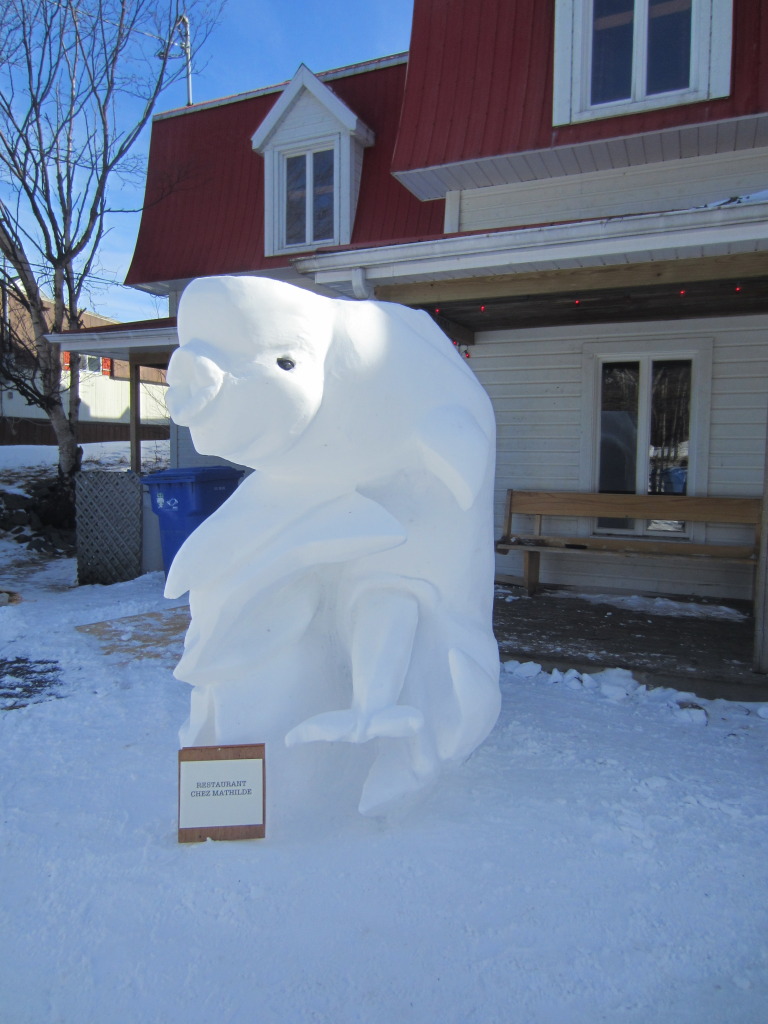 Beluga mother in birthing process