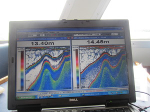 Graphic data images at two different levels of sonar pulse