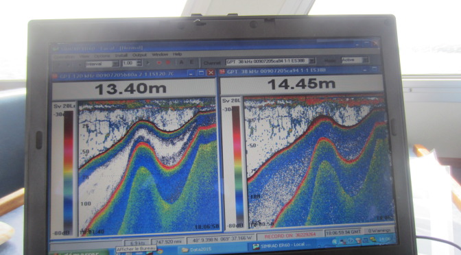 Graphic data images at two different levels of sonar pulse