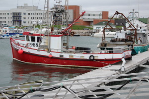 Fishing boats with the hospital in the marina